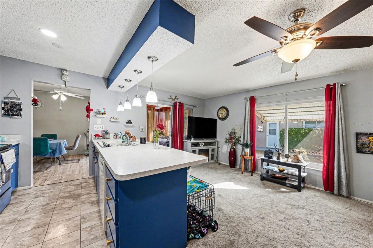 8515 Cedarview Court , Port Richey, FL 34668 Photo