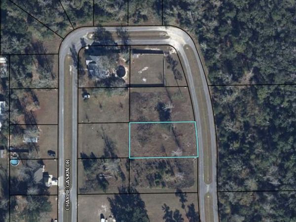 lot 22 Charlie Gaskin Drive , Wewahitchka, FL 32465