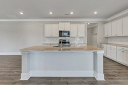 262 Livingston Woods Drive photo 4