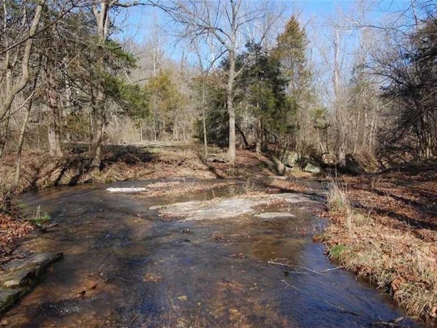 Property Image 19