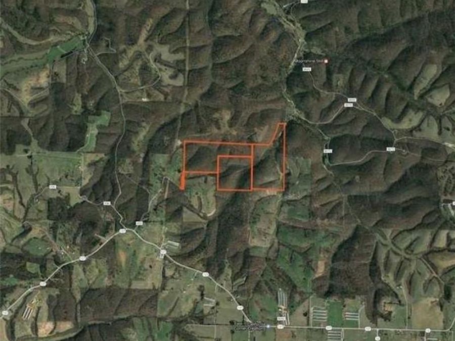 Property Image 5