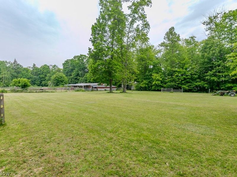 7250 Brakeman Road, Painesville Township, OH 44077 Photo 8