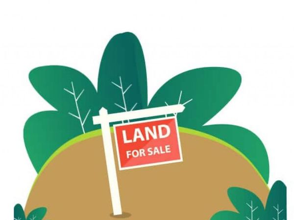 0 CR 7302, Jonesboro, AR 72405