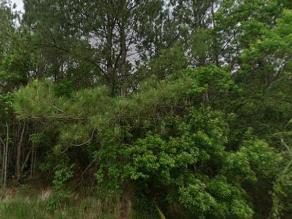 Na Beverly Street, Bay Saint Louis, MS 39520