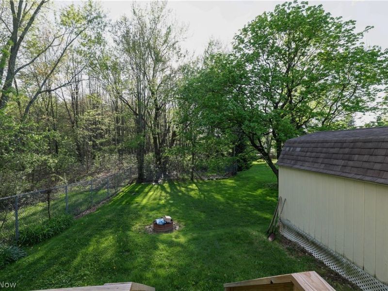 217 E Bergey Street, Wadsworth, OH 44281 Photo 20