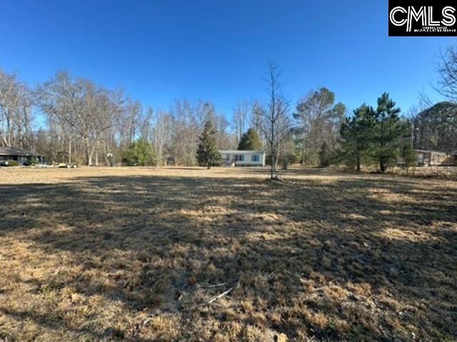 1452 Bishopville Highway  Photo 7