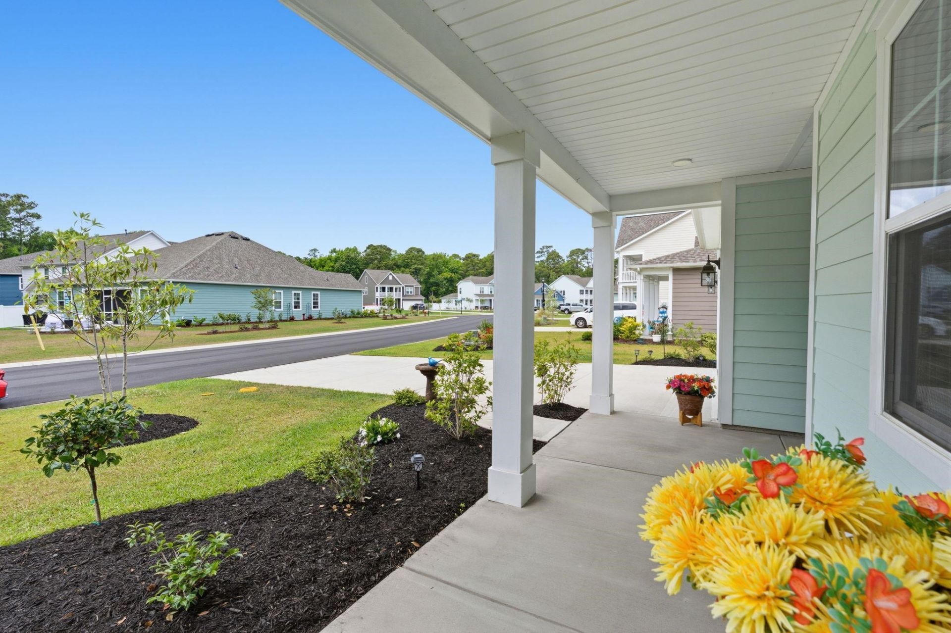 370 Rose Mallow Dr. Photo 5