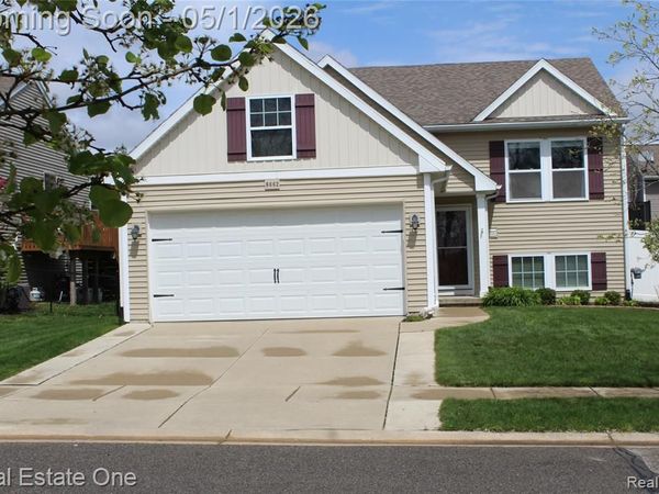 8662 Pinnebog River Drive, Handy Twp, MI 48836
