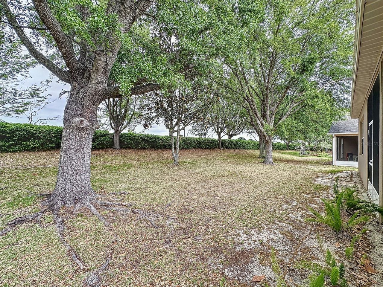 135 Crepe Myrtle Dr, Groveland, FL 34736 Photo