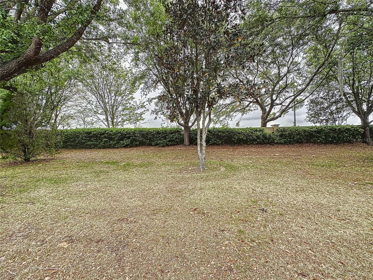 135 Crepe Myrtle Dr, Groveland, FL 34736 Photo
