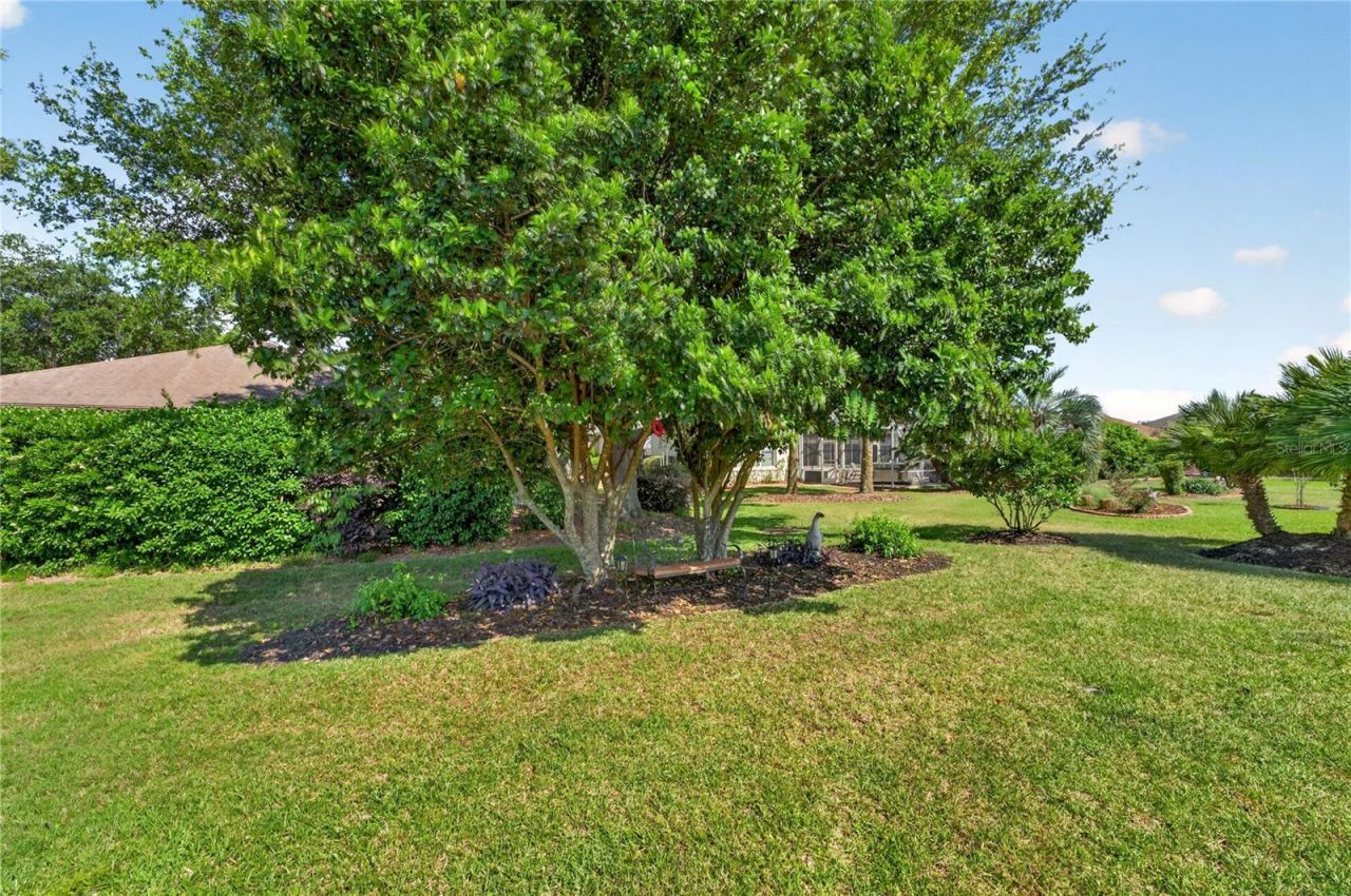 9082 SE 120th Loop, Summerfield, FL 34491 Photo