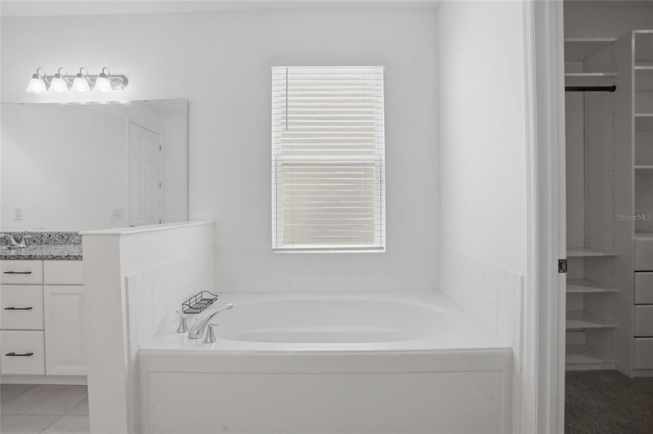 4897 Gilded Jewel Drive, Mount Dora, FL 32757 Photo