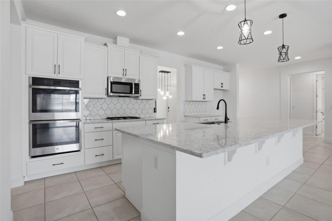 4897 Gilded Jewel Drive, Mount Dora, FL 32757 Photo