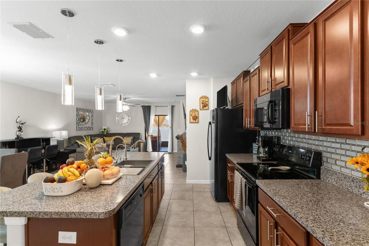 10216 Carloway Hills Drive, Wimauma, FL 33598 Photo