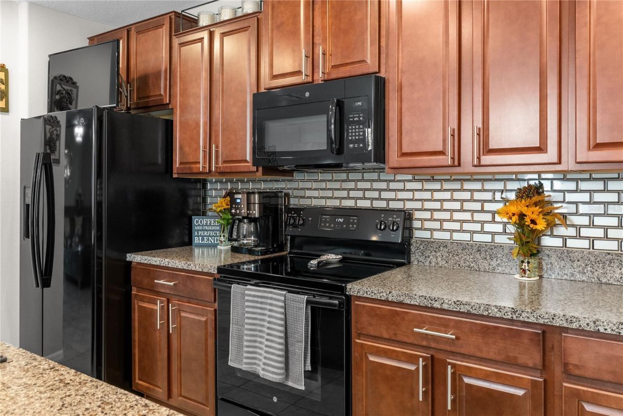10216 Carloway Hills Drive, Wimauma, FL 33598 Photo