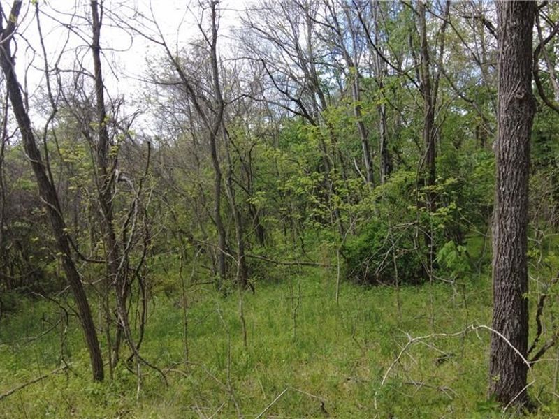 10 Wilma Lane, Manchester, OH 45144 Photo 6