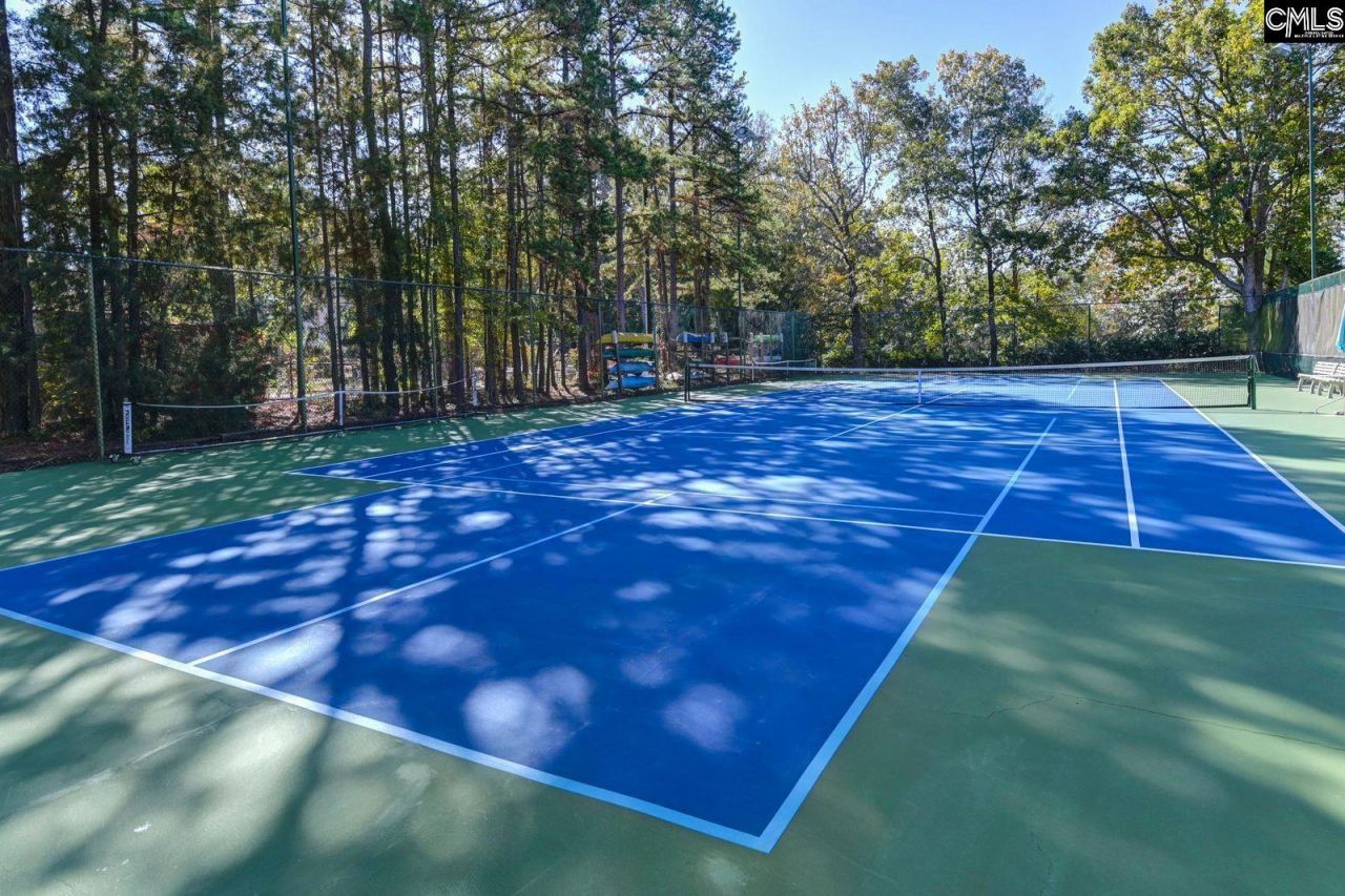 1441 Old Chapin Road  Photo 27