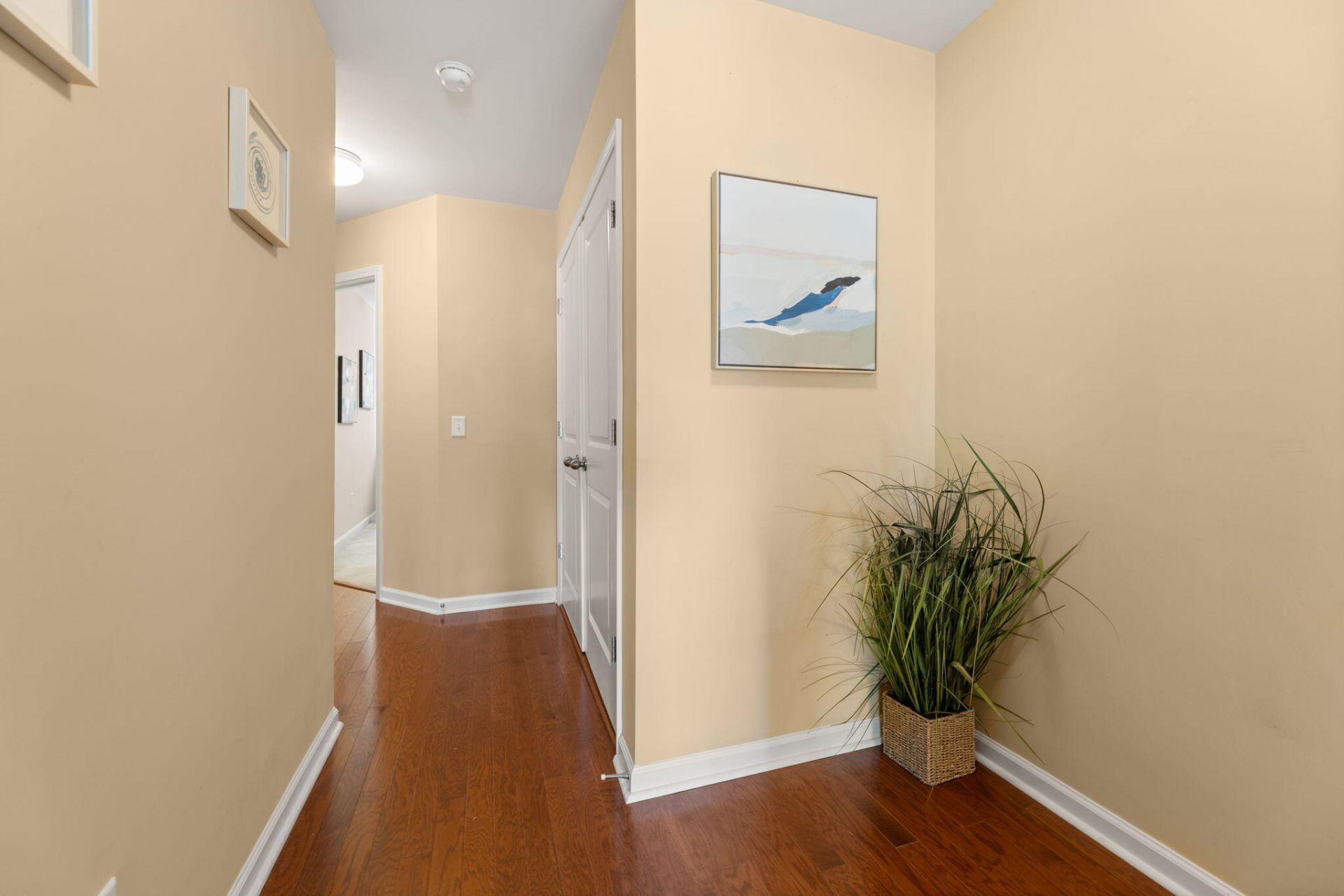 1809 Heldsberg Drive Photo 18