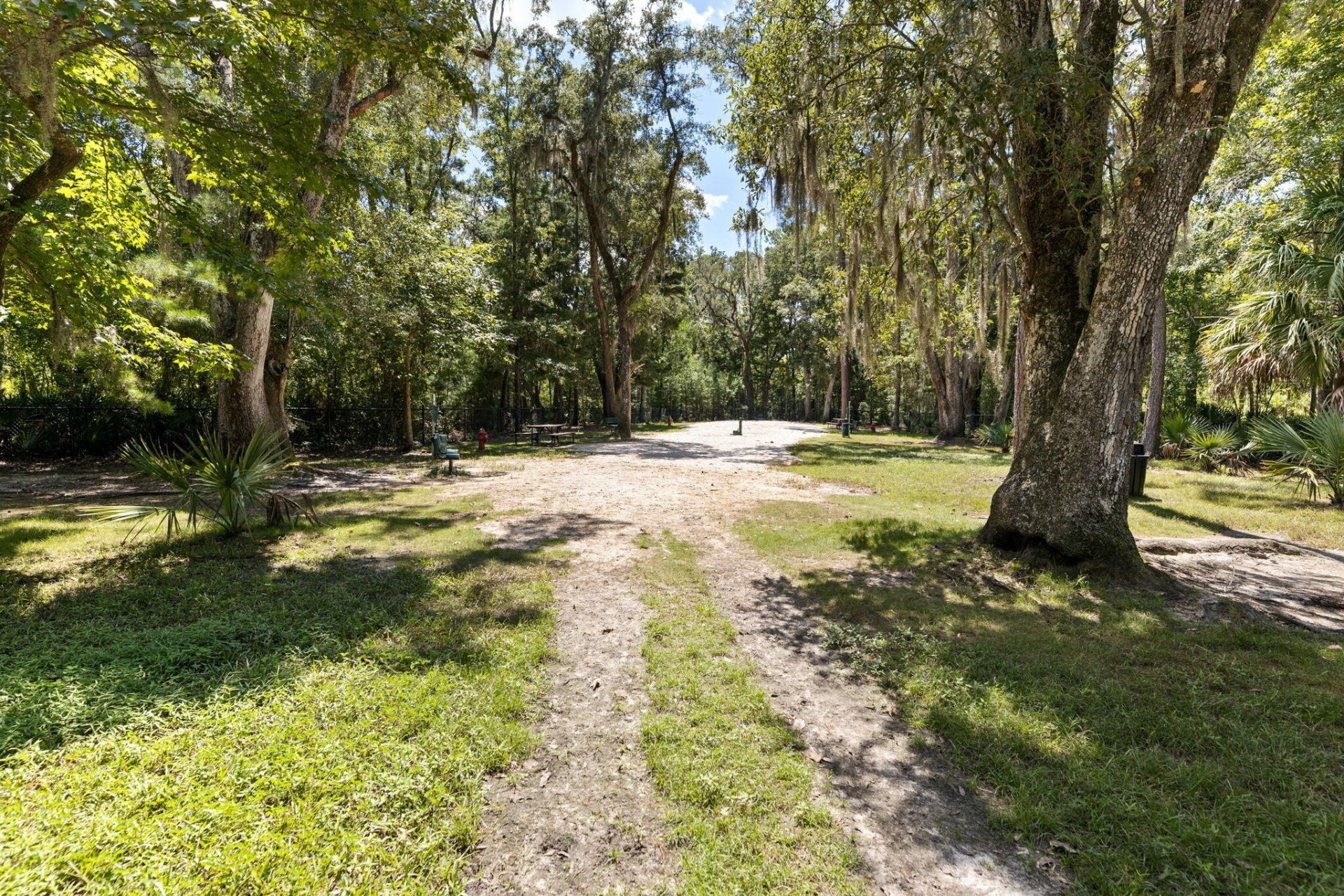 1809 Heldsberg Drive Photo 36