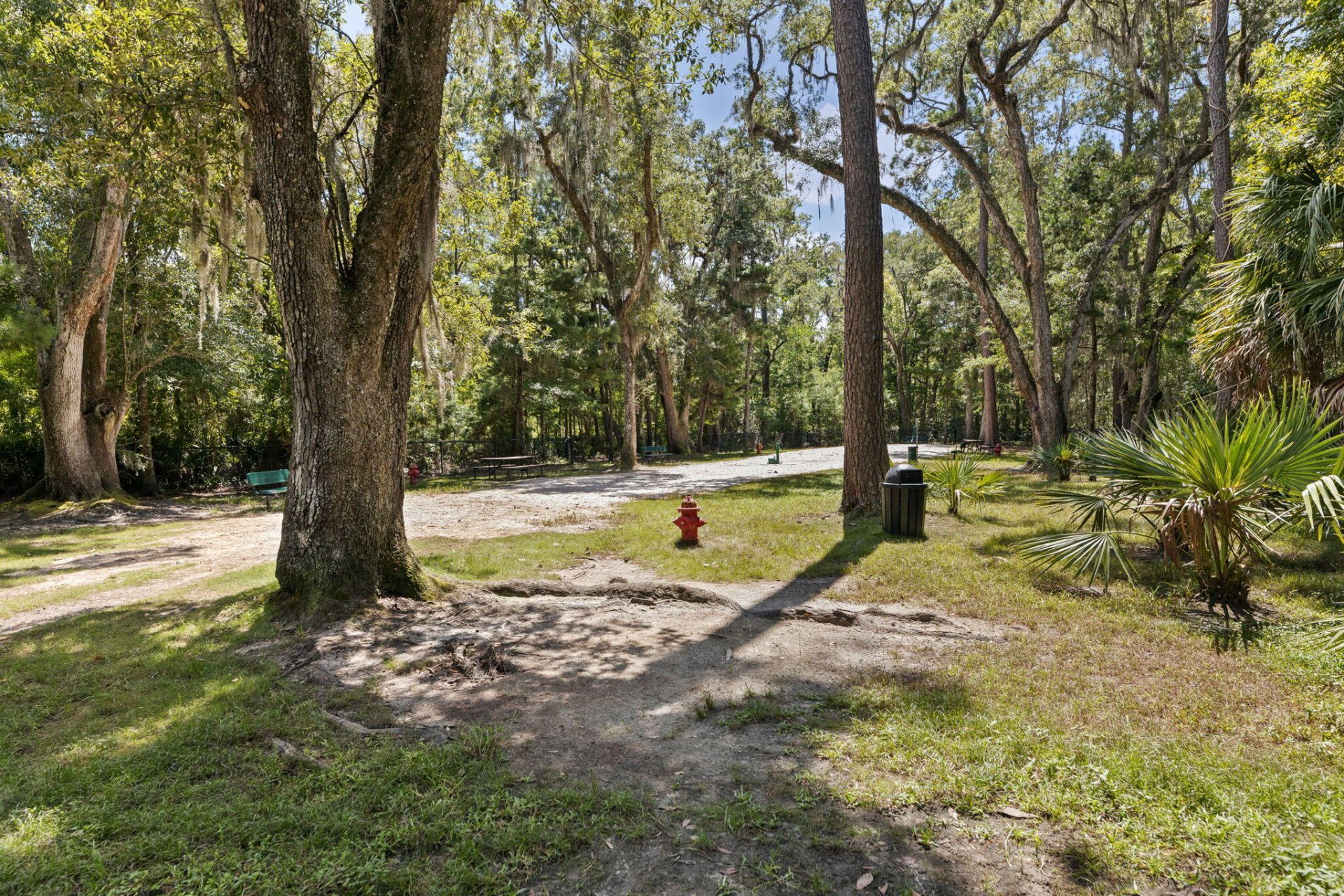 1809 Heldsberg Drive Photo 37