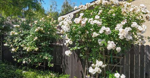 21590 Cascade Crossing Rd, Grass Valley, CA 95949 Photo