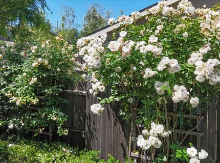 21590 Cascade Crossing Rd, Grass Valley, CA 95949 Photo