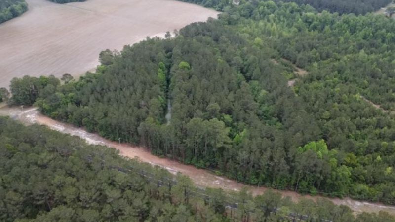 Tbd Highway 45  Photo 1