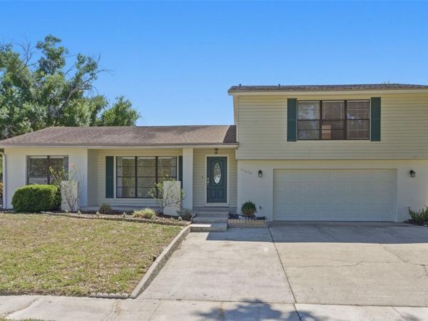 15602 FARNSWORTH LANE, TAMPA, FL 33624