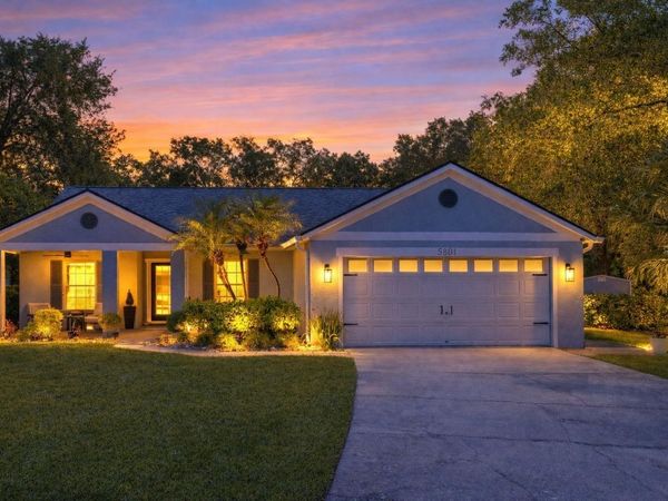5801 BLACK WALNUT COURT, TAMPA, FL 33625