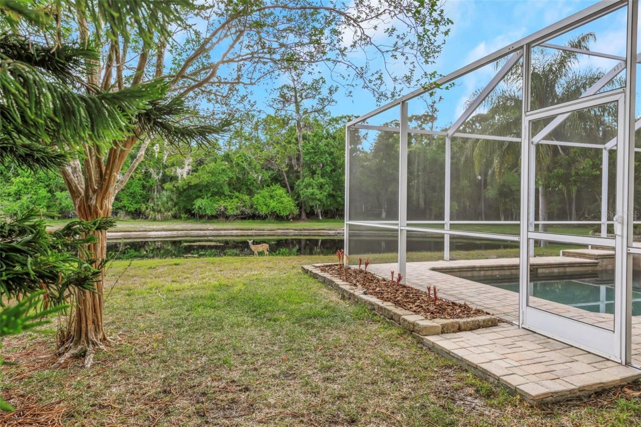4152 Grandchamp Circle, Palm Harbor, FL 34685 Photo