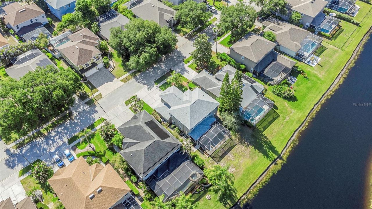 4152 Grandchamp Circle, Palm Harbor, FL 34685 Photo