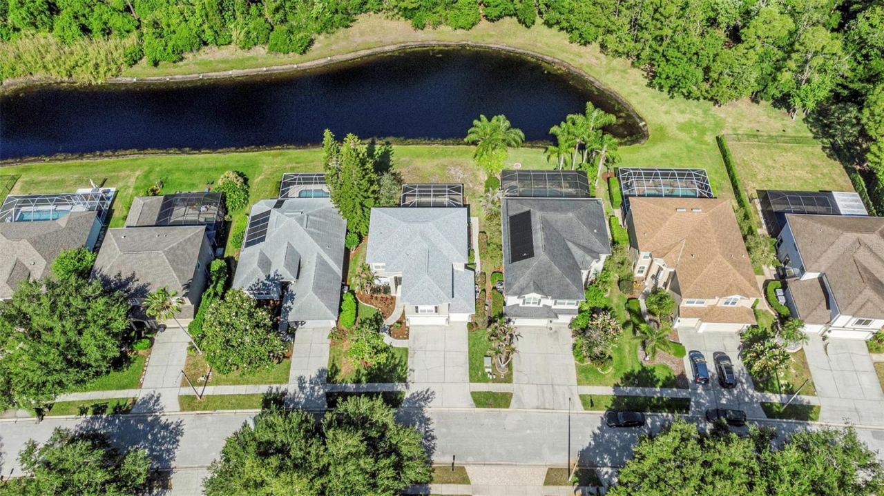 4152 Grandchamp Circle, Palm Harbor, FL 34685 Photo