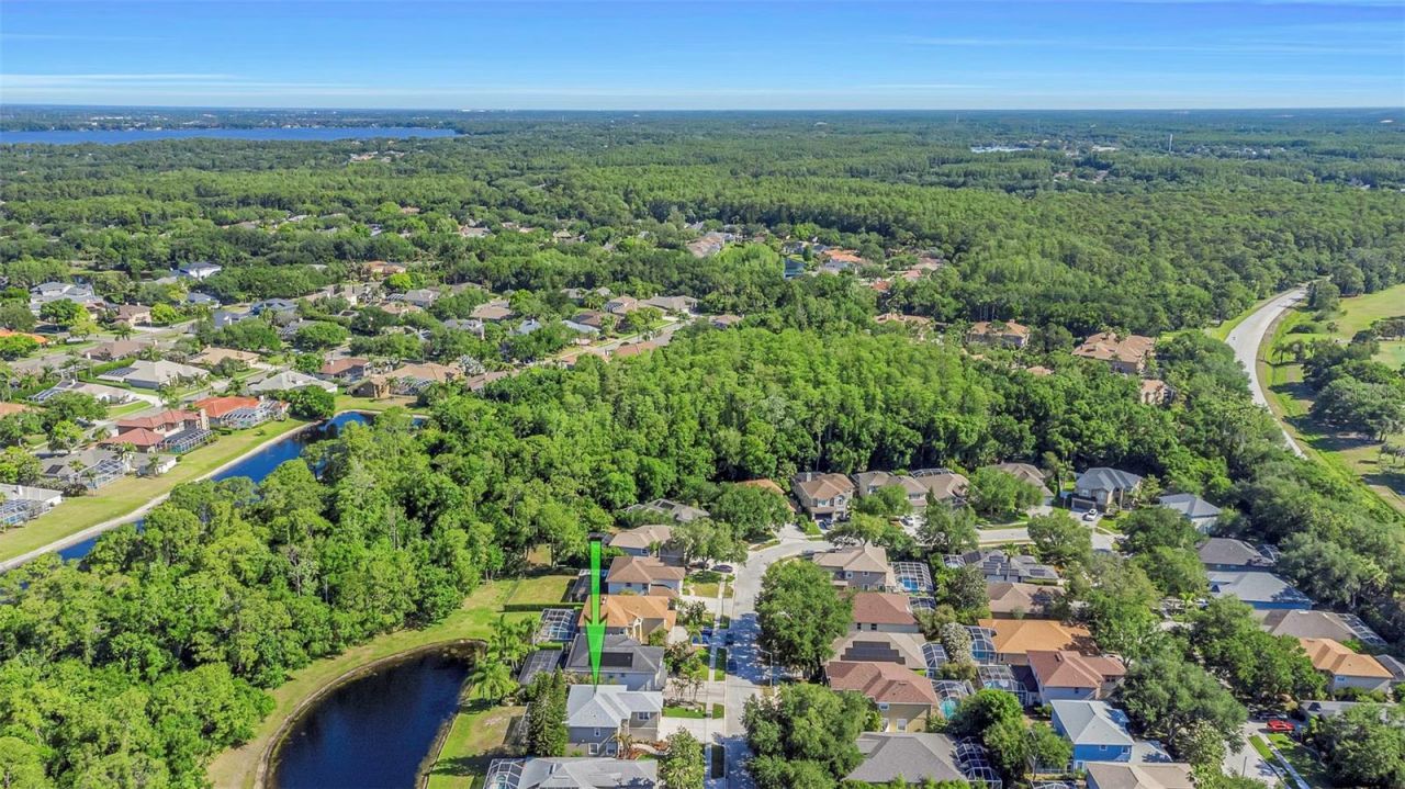 4152 Grandchamp Circle, Palm Harbor, FL 34685 Photo