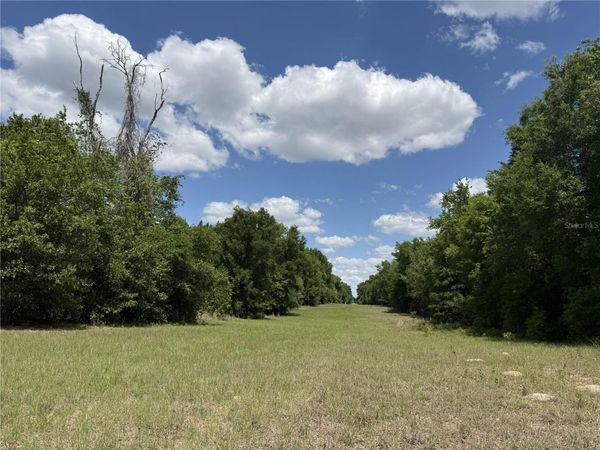 0 NW 140TH STREET , CHIEFLAND, FL 32626