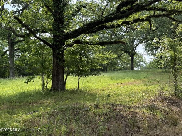 Scales Road , Morton, MS 39117