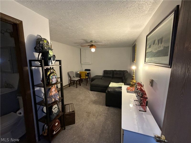 191 Ridgeland Drive, Toronto, OH 43964 Photo 11
