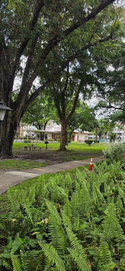 2600 NW 49th Avenue, Unit 409, Lauderdale Lakes, FL 33313 Photo