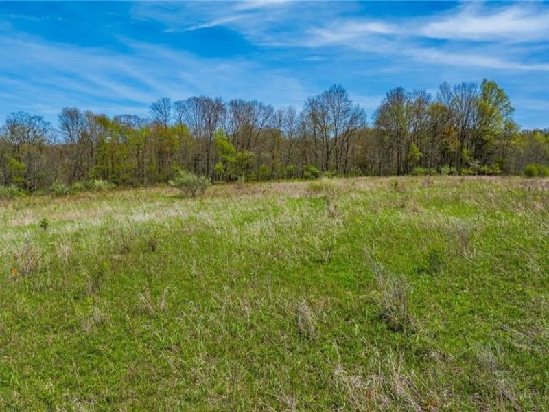 0 Mcclintocksburg Road, Unit A, Diamond, OH 44412 Photo 2