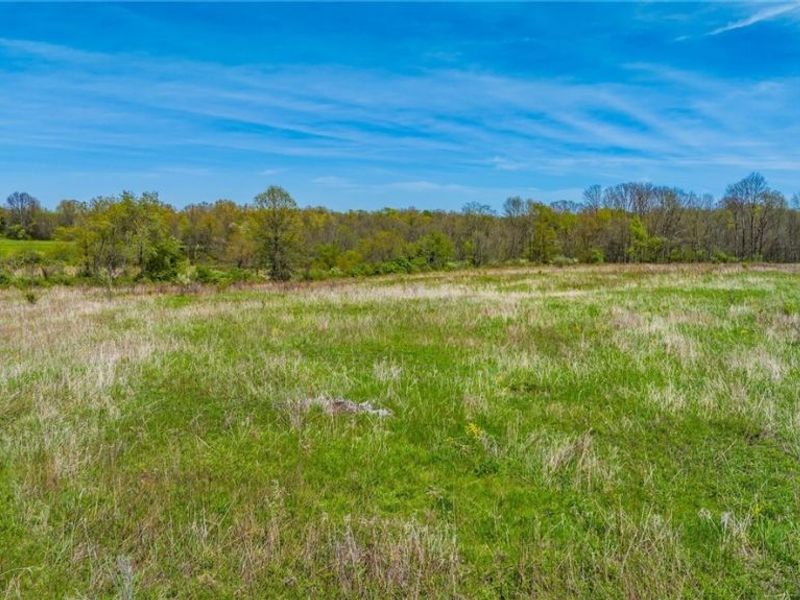 0 Mcclintocksburg Road, Unit A, Diamond, OH 44412 Photo 5