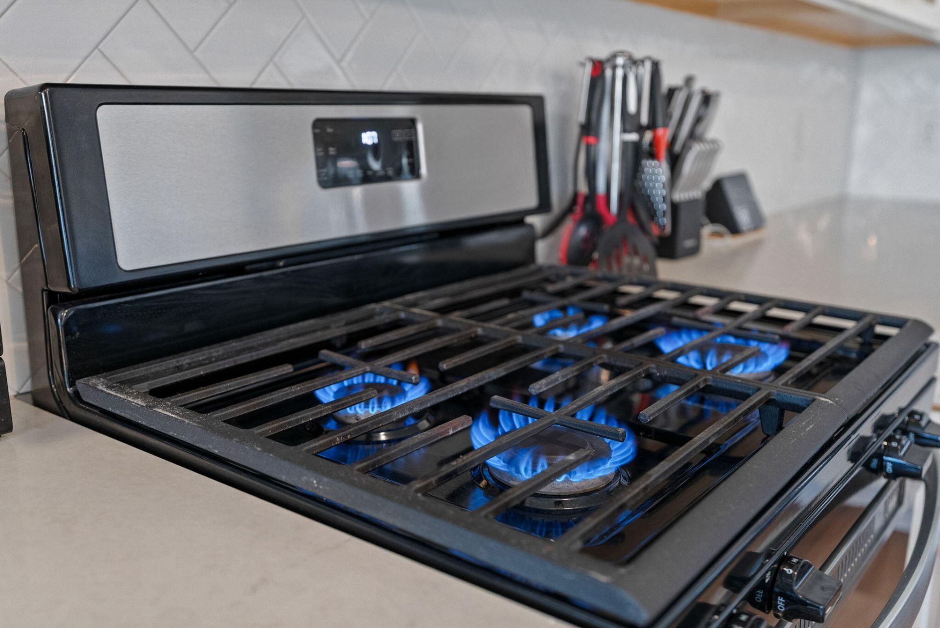 171 Lucca Drive Photo 17