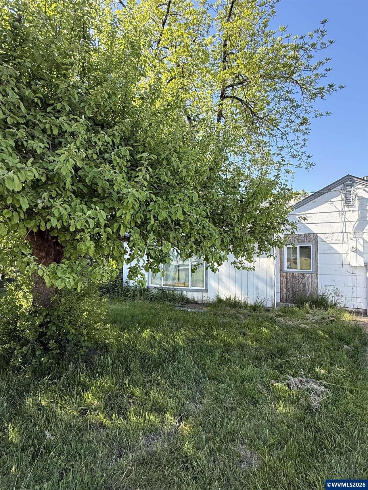 3505 Kizer Av Ne, Albany, OR 97322 Main Photo