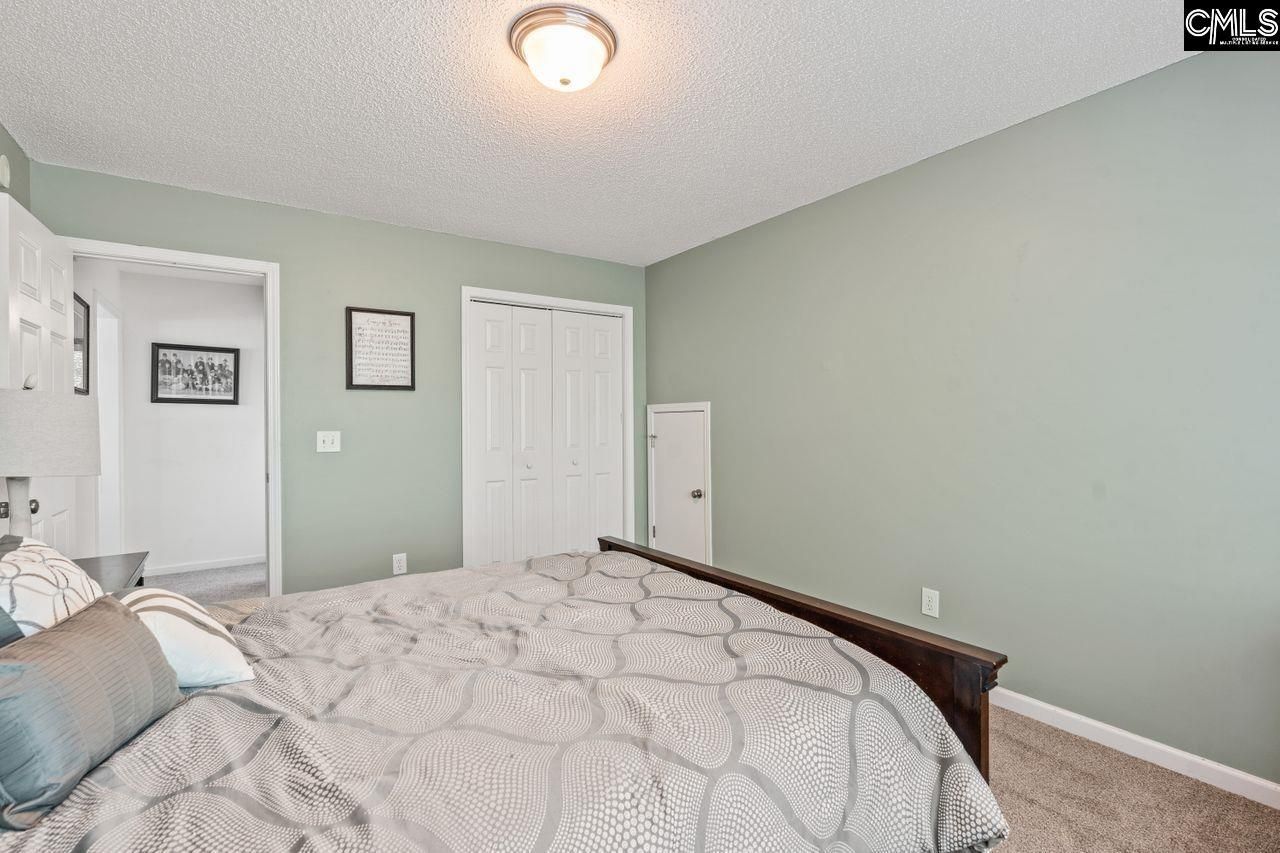137 Fresh Spring Way Photo 29