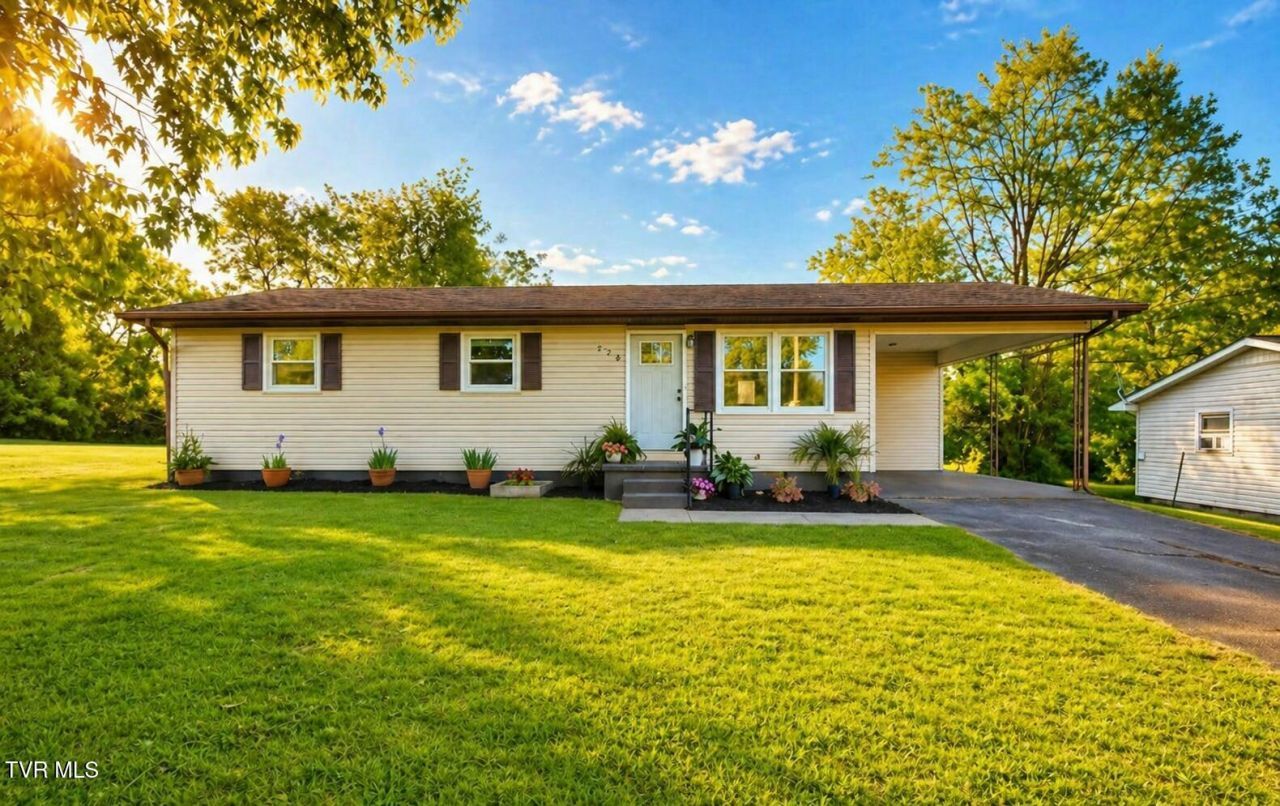 728 South Lynn Avenue, Elizabethton, TN 37643 Main Photo