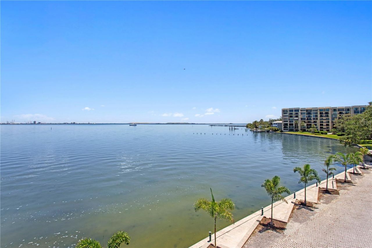 4950 Bayshore Boulevard, Unit 25D, Tampa, FL 33611 Photo