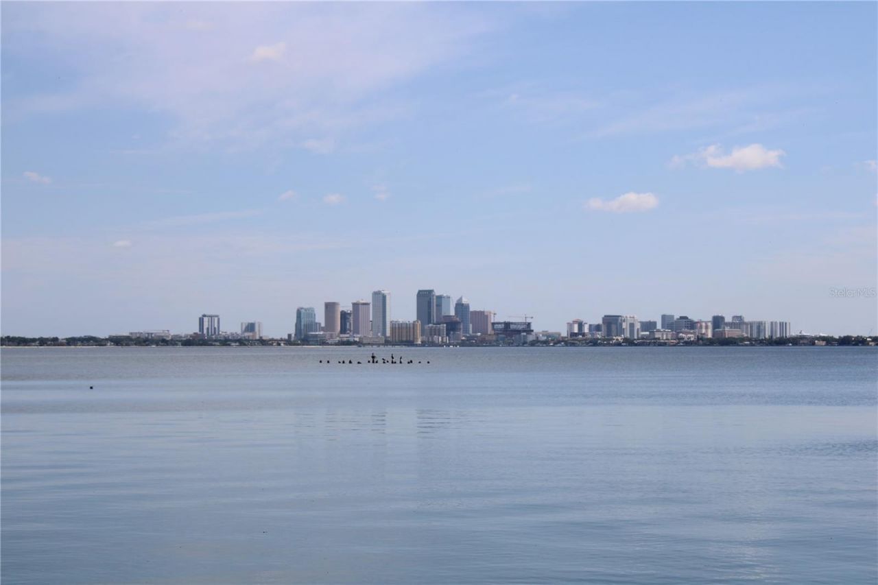 4950 Bayshore Boulevard, Unit 25D, Tampa, FL 33611 Photo