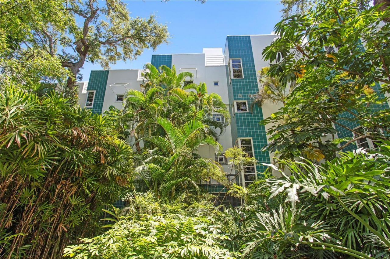 4950 Bayshore Boulevard, Unit 25D, Tampa, FL 33611 Photo