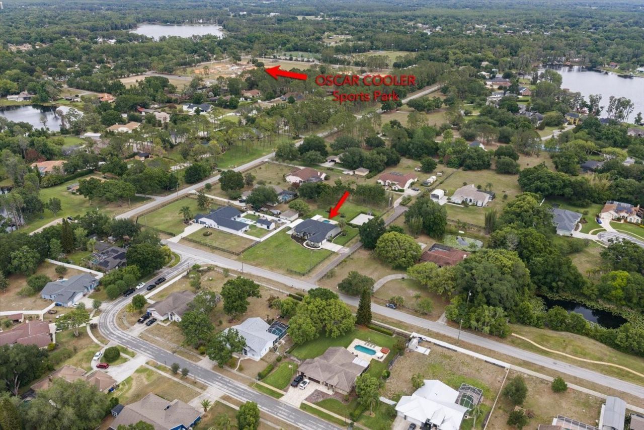 18731 Crooked Lane, Lutz, FL 33548 Photo