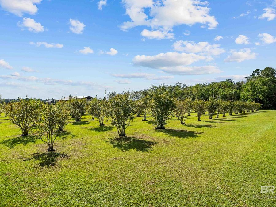 Property Image 68