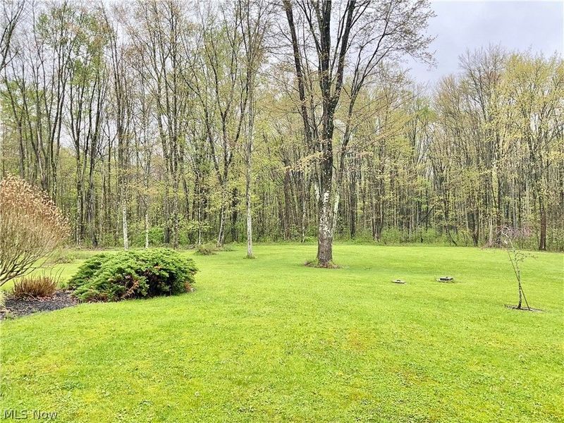 1829 State Route 7 NE, Brookfield, OH 44403 Photo 4