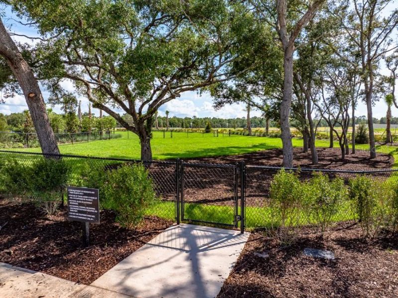 13747 Squall Lane, Hudson, FL 34669 Photo